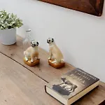 Appartement Pantheon 2 Bedrooms